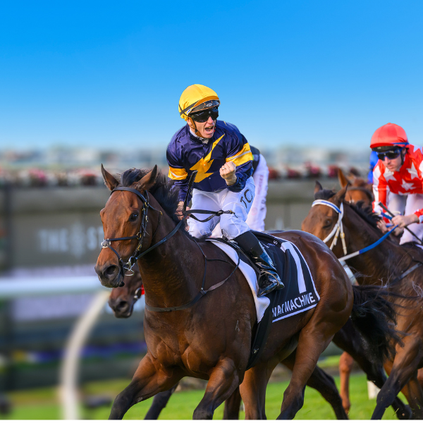 SS26_Hero Image_06 Stradbroke_600x600